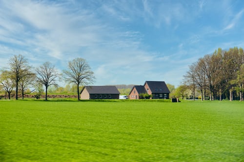 lawncare